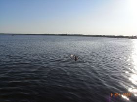 R0010693x.JPG